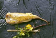 Gelakte zeeduivel, curry, wortel en lente-ui
