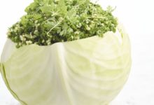 Gevulde witte kool met bulgur, erwten en kruiden