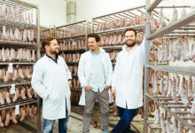 Brandt & Levie worstmakers