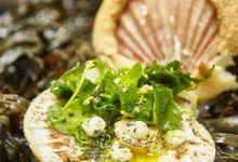 Coquilles