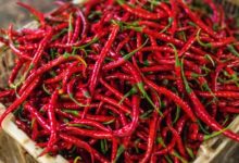 peper