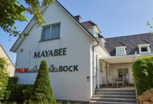 Mayabee uitgelicht