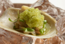 Soft Shell Clam seldergranité