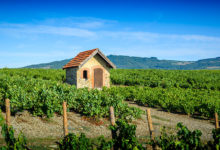 beaujolais uitegelicht