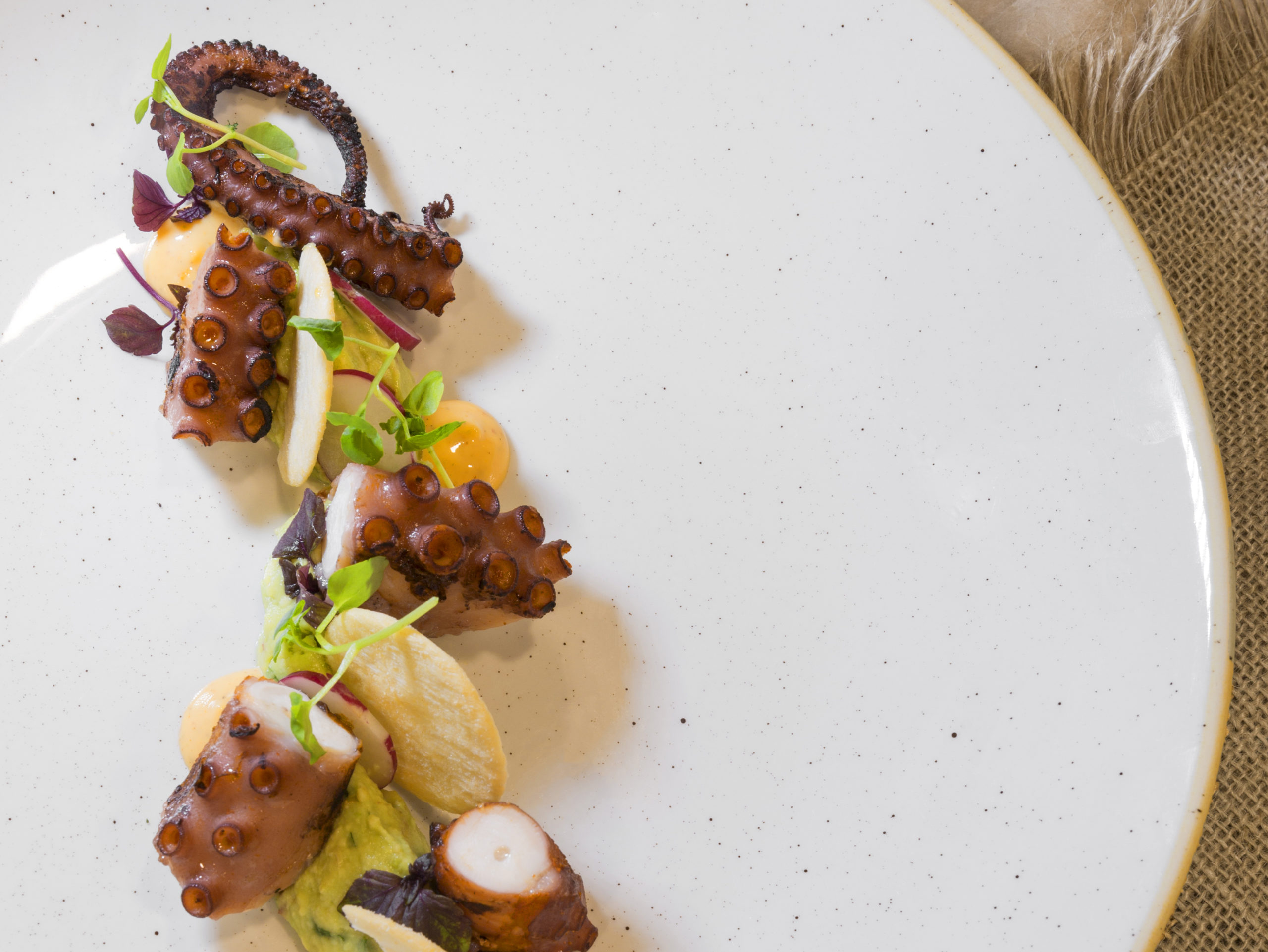 gegrilde octopus