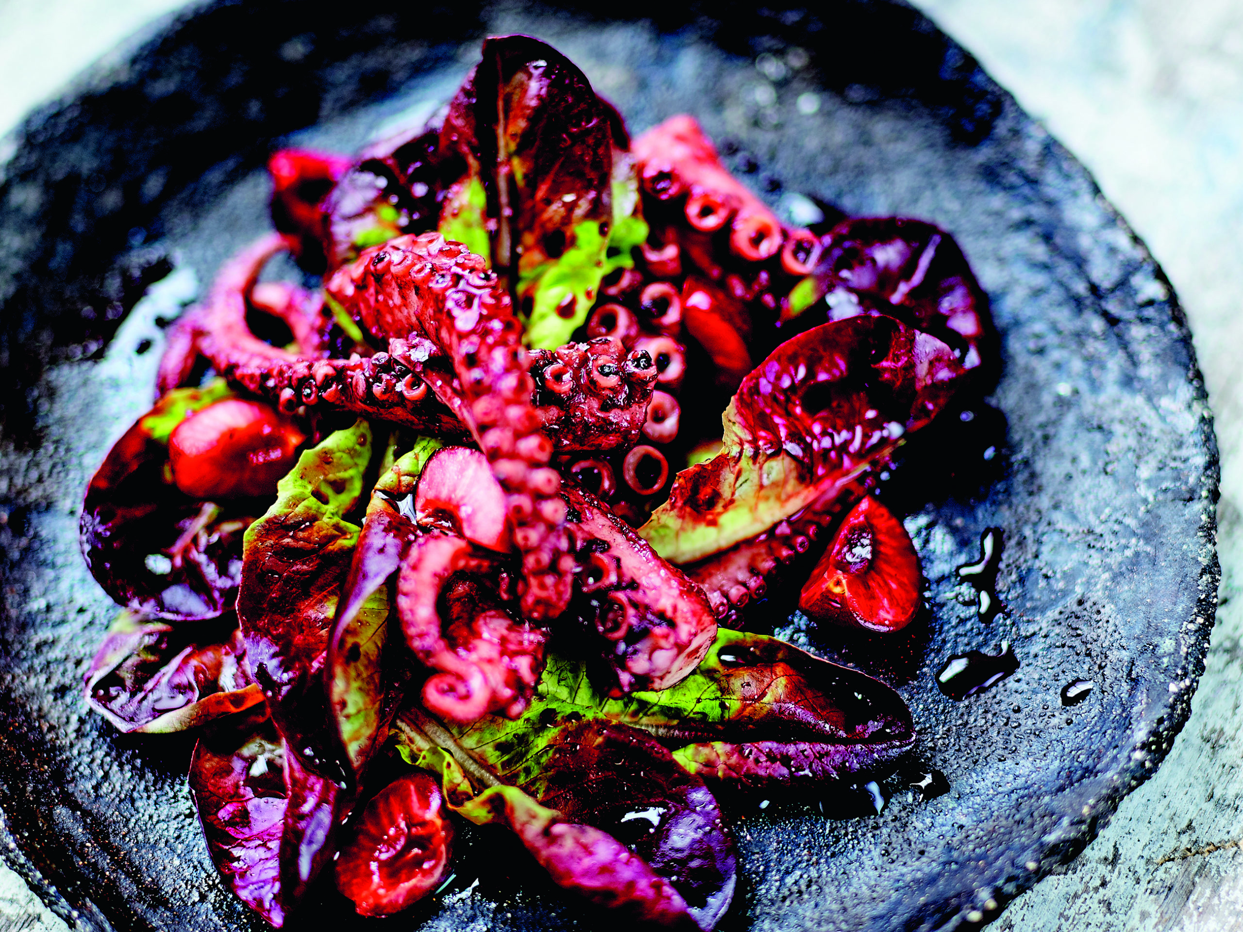 octopus