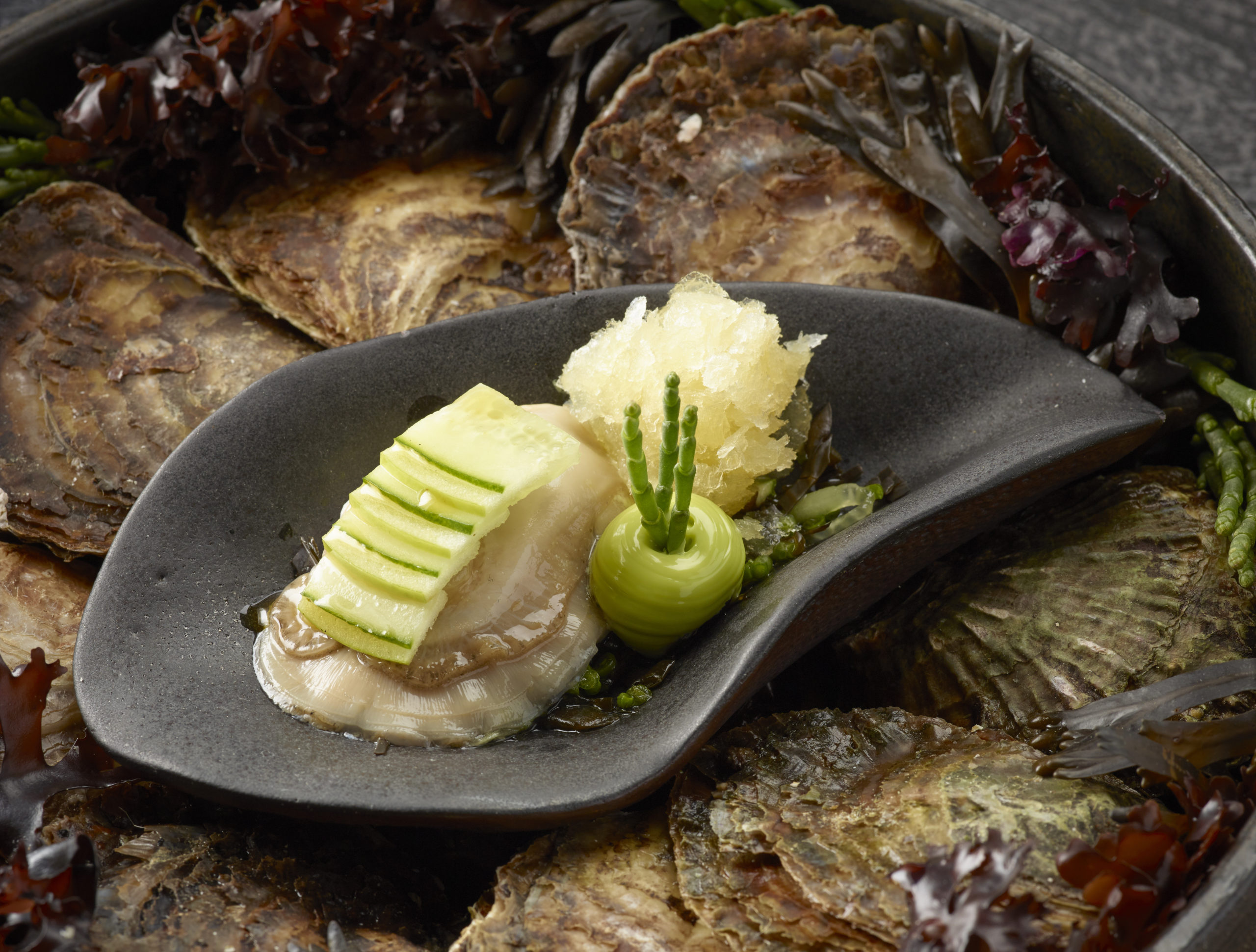 Oester