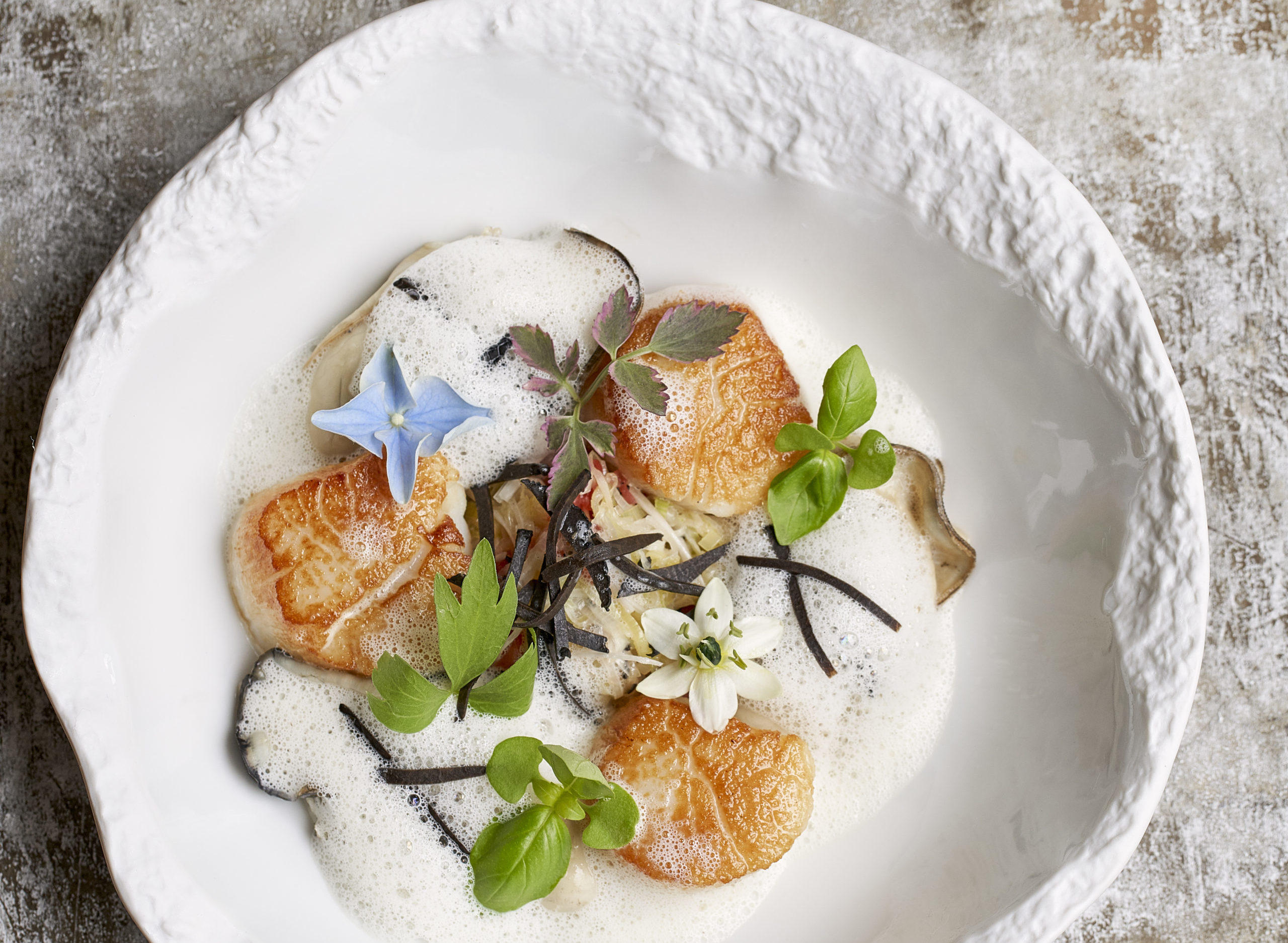Ragout van oesters