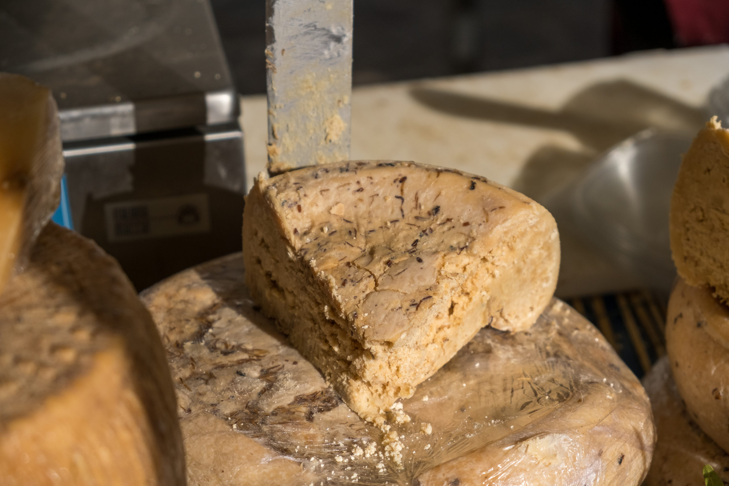 Casu Marzu