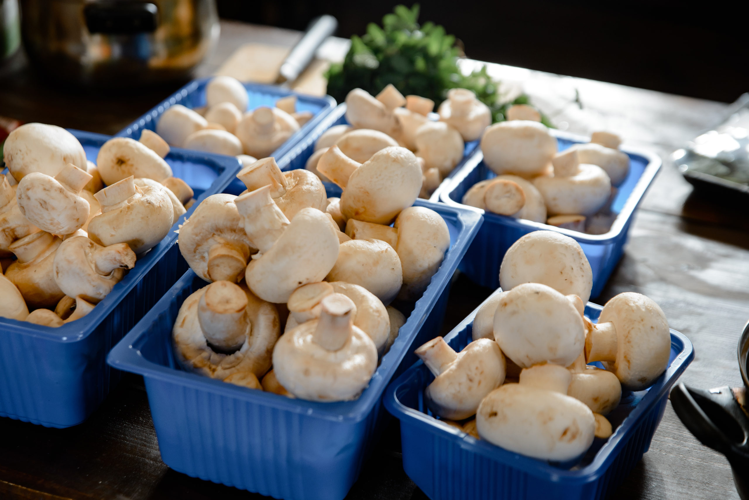 Champignons