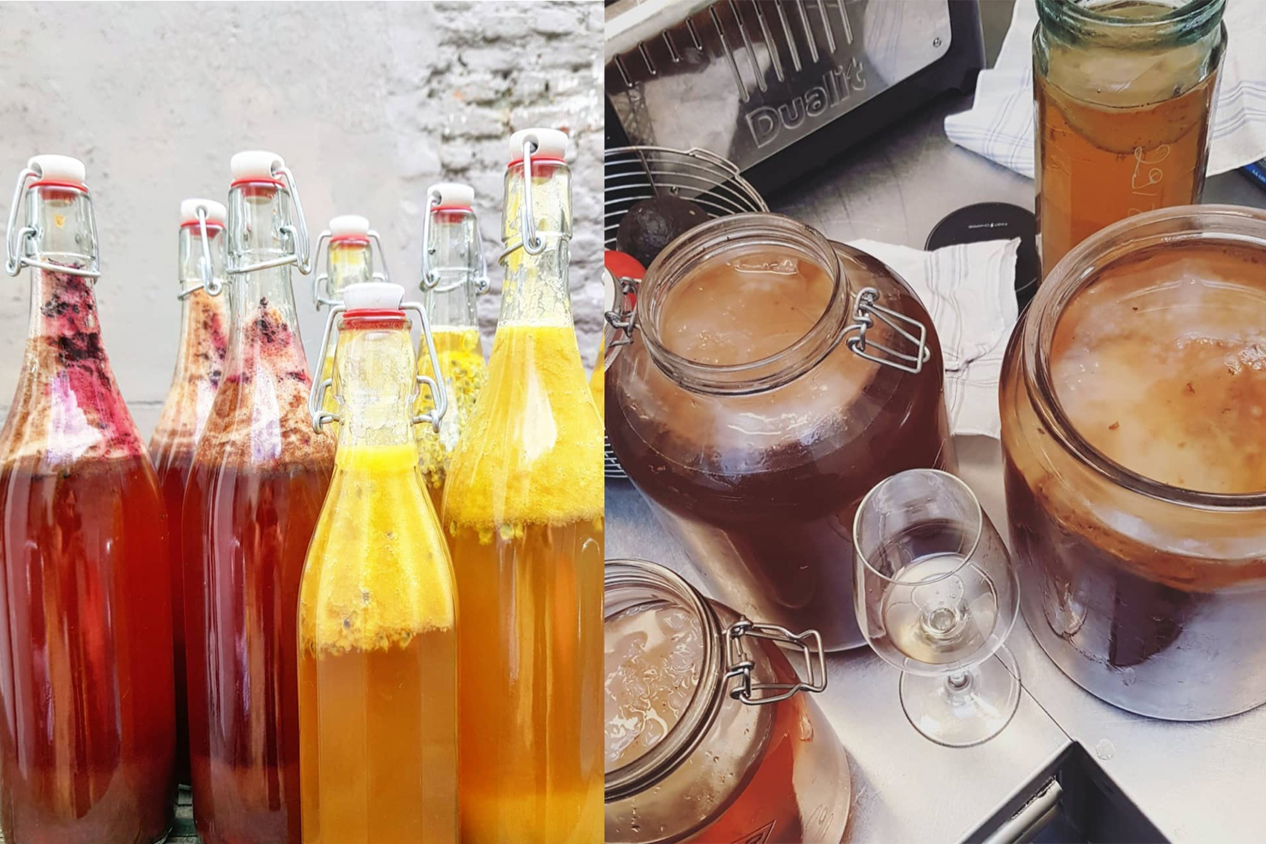 kombucha