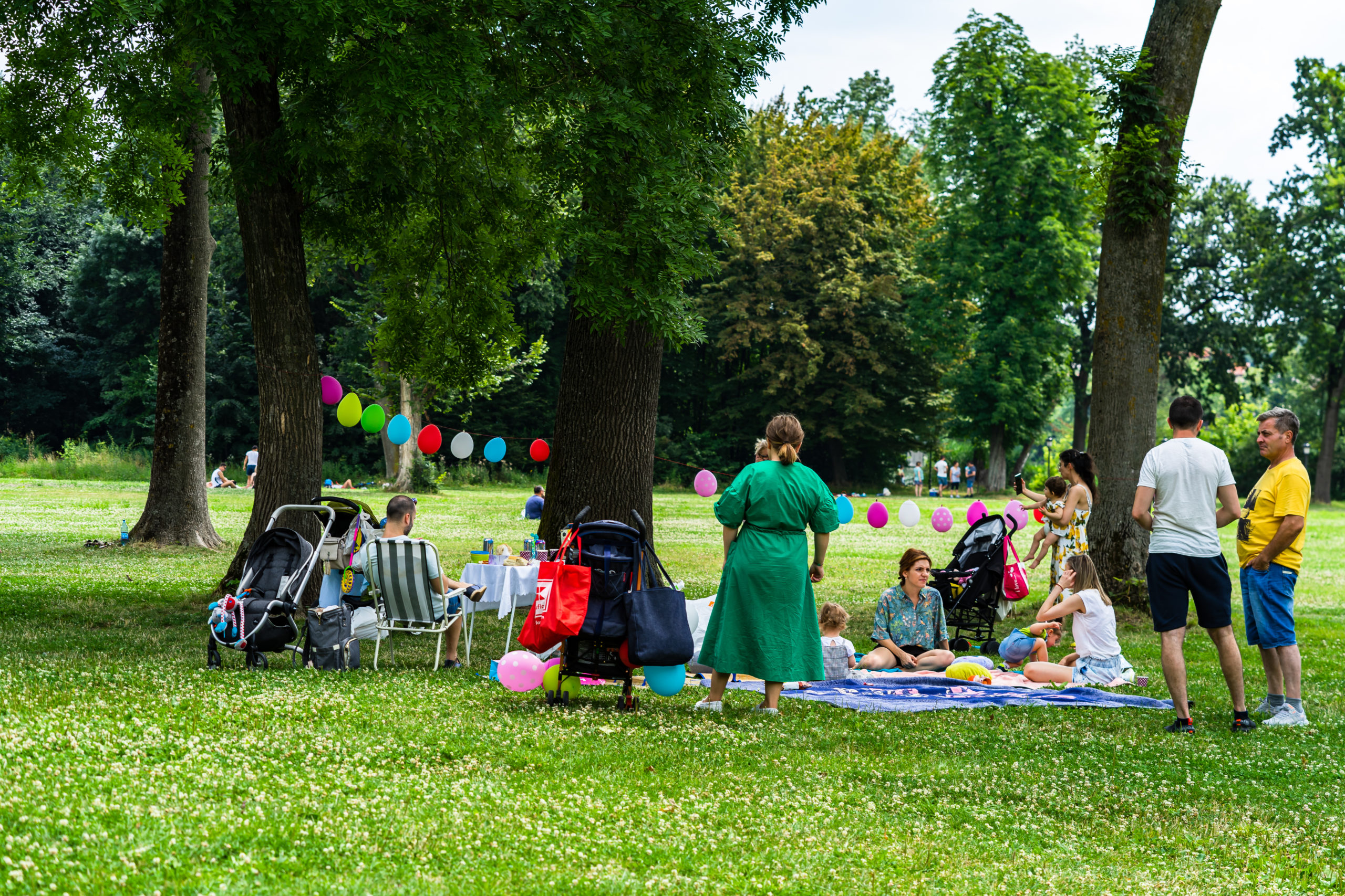 Picknicken