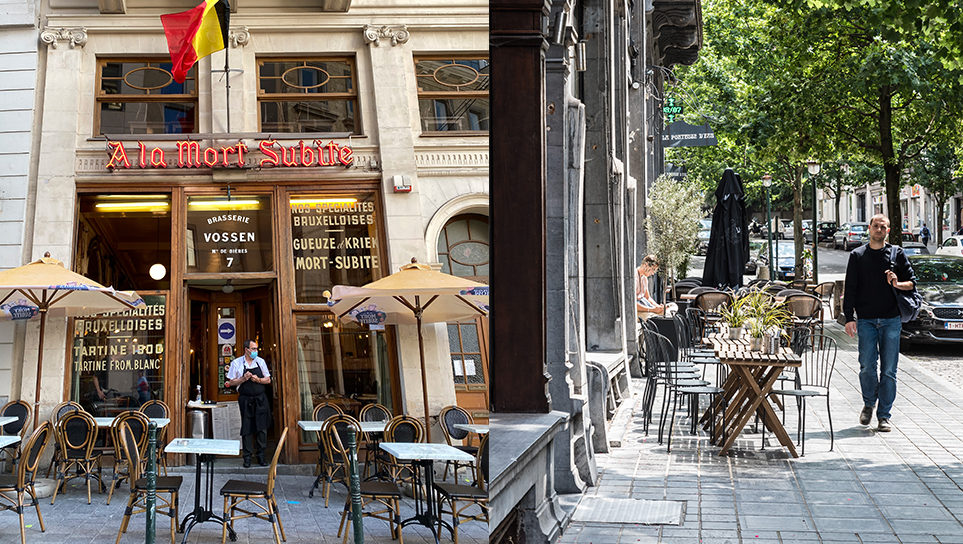 Terras