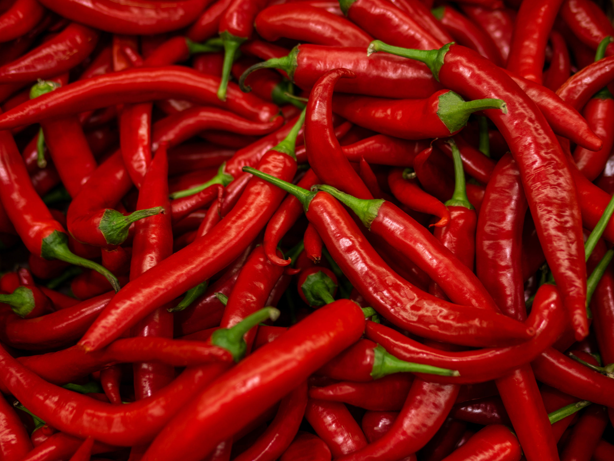 chilipeper