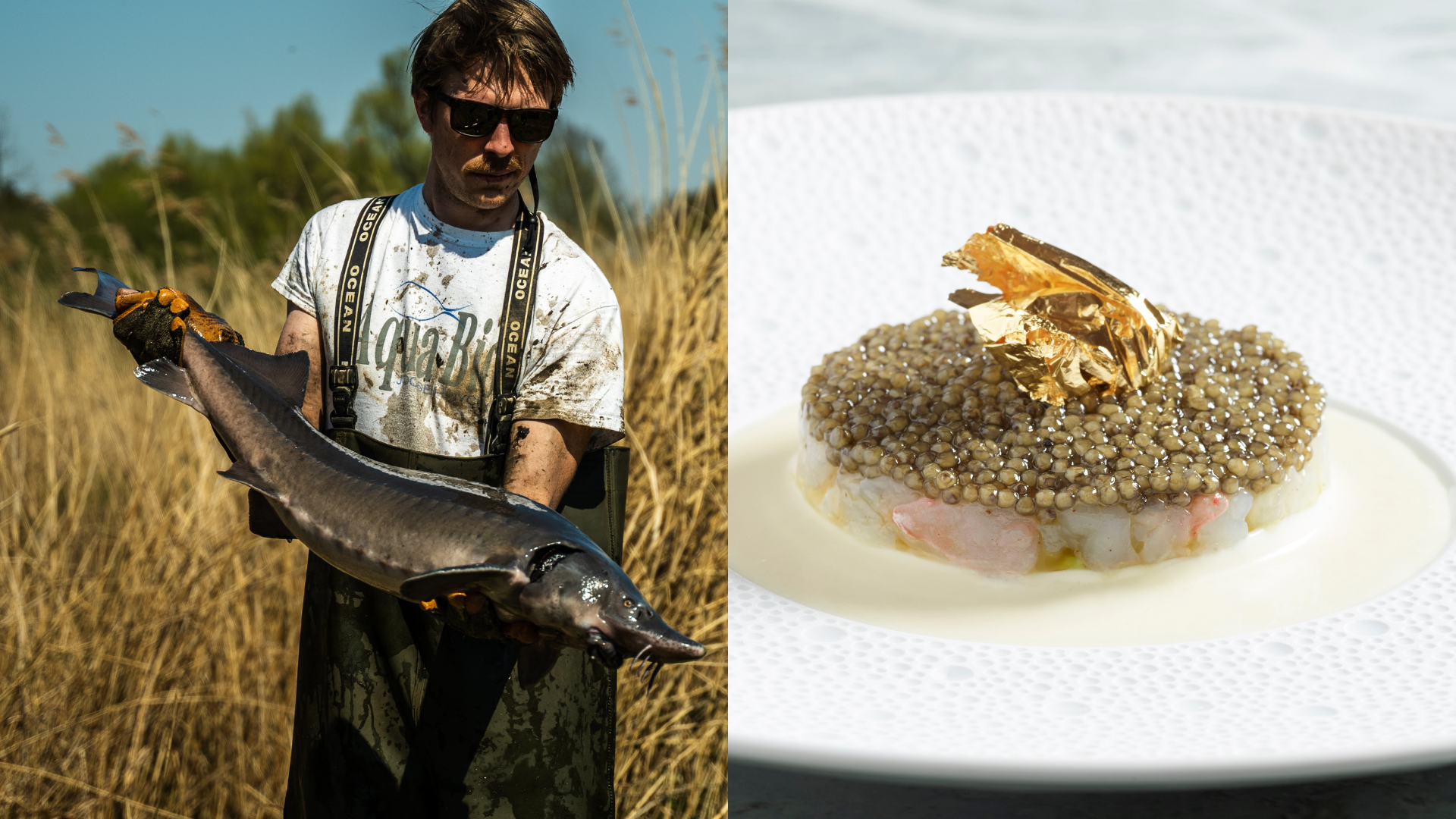royal belgian caviar