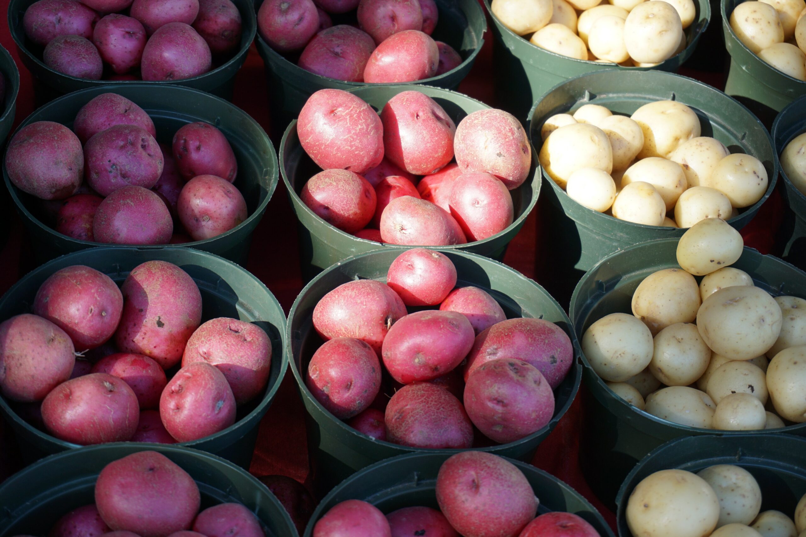 aardappelsoorten