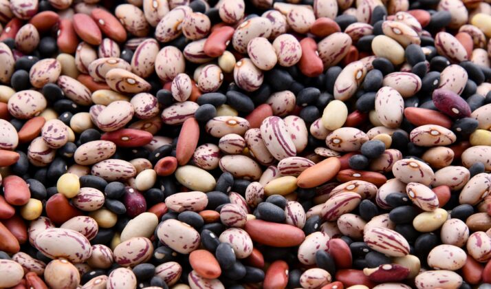 gedroogde bonen koken