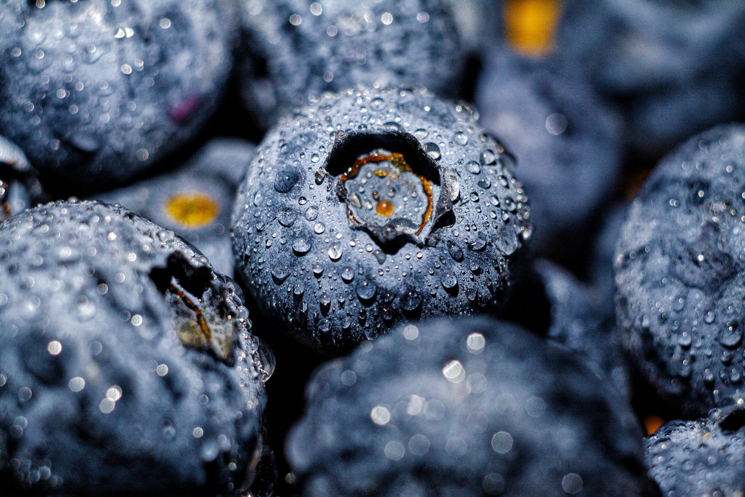 blueberry jam bites