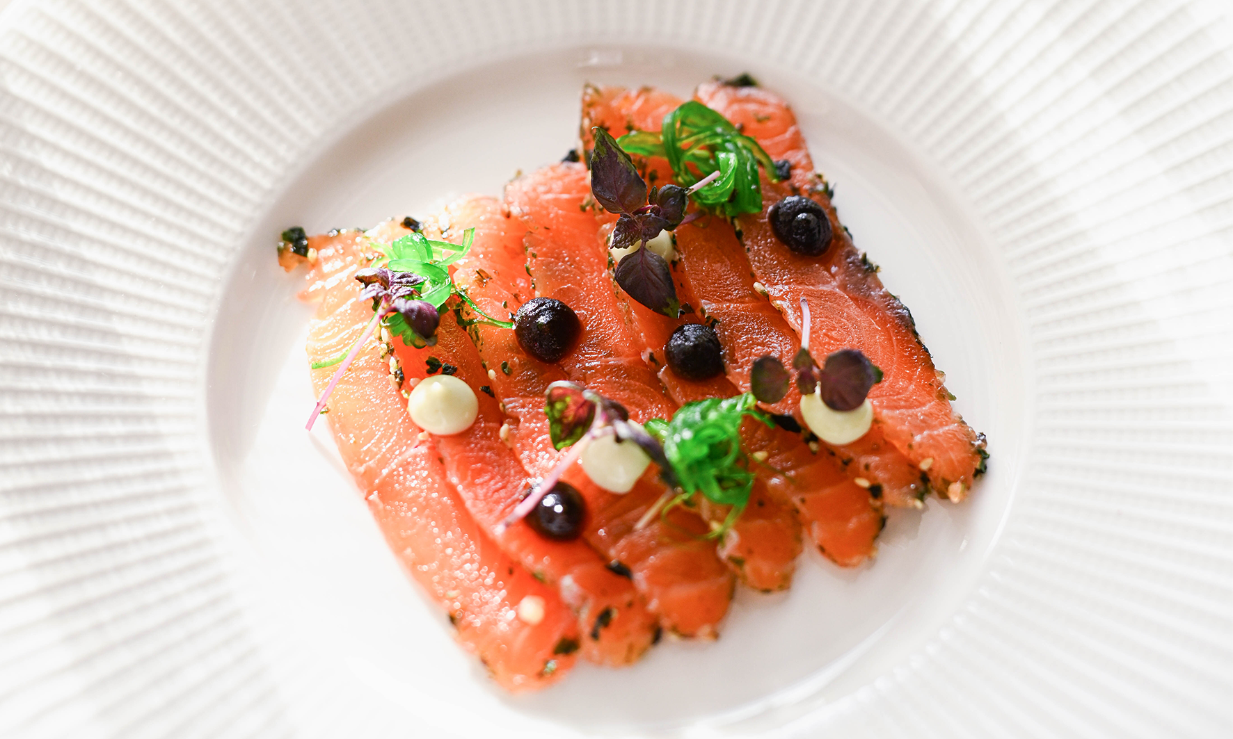 sashimi zalm