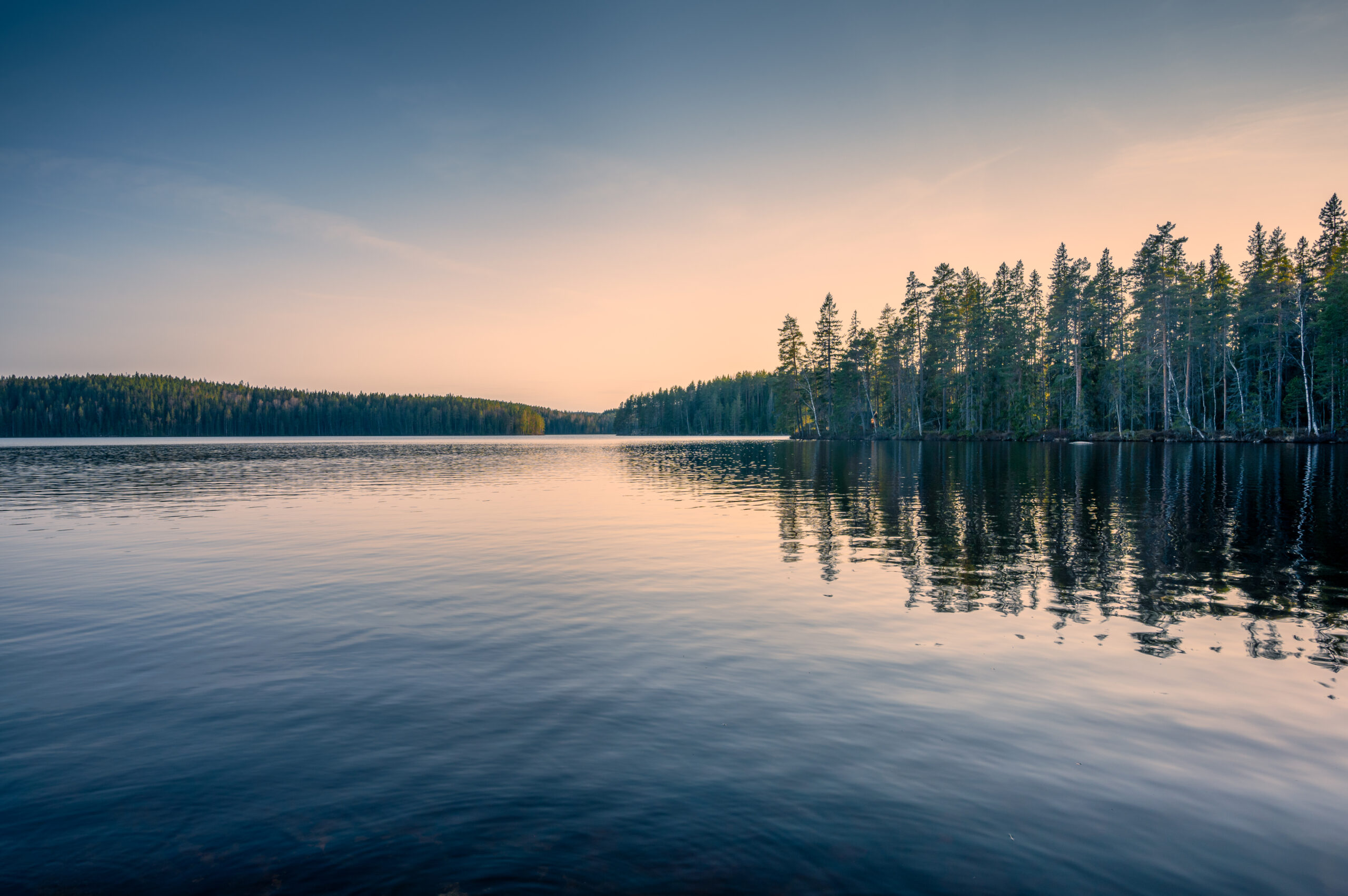 Nordic