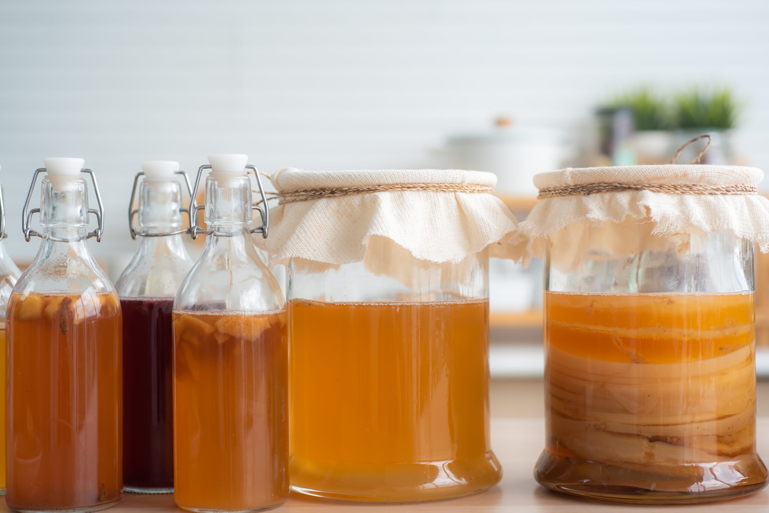 kombucha
