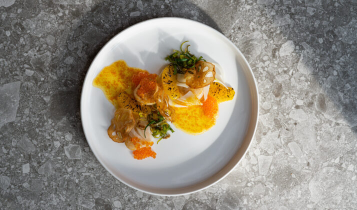 coquilles De Fortuyne