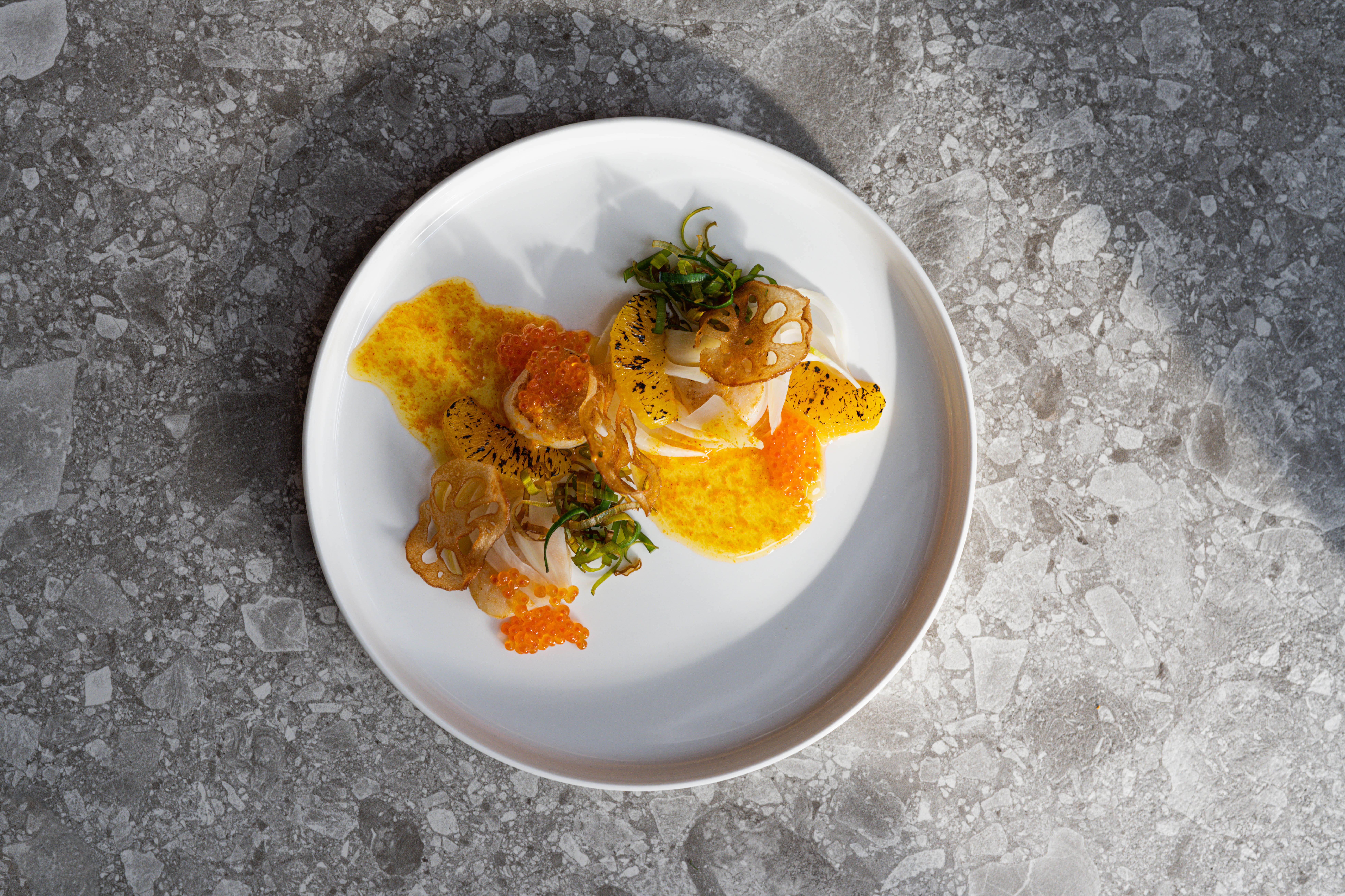 coquilles De Fortuyne