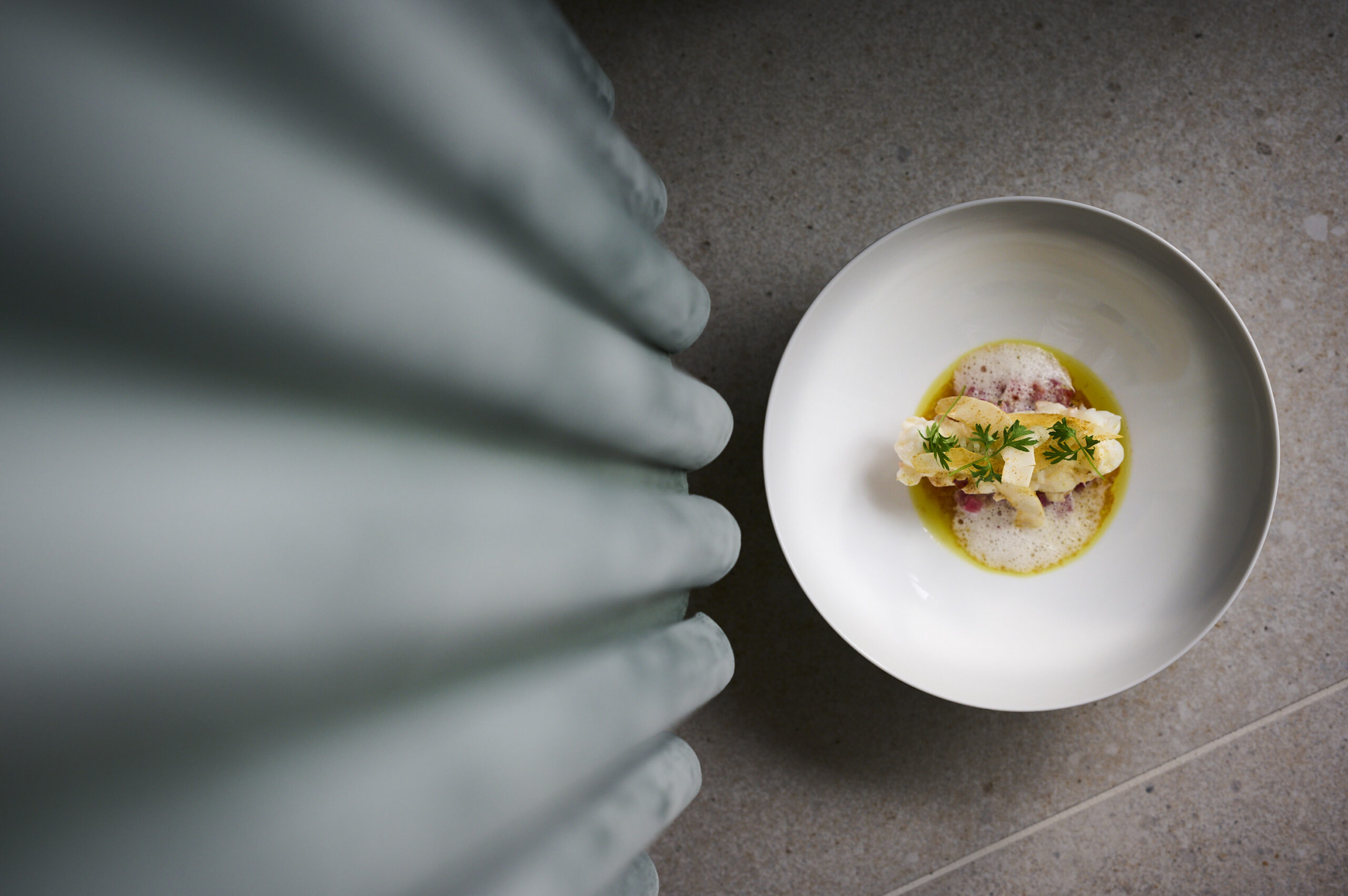 langoustine fred