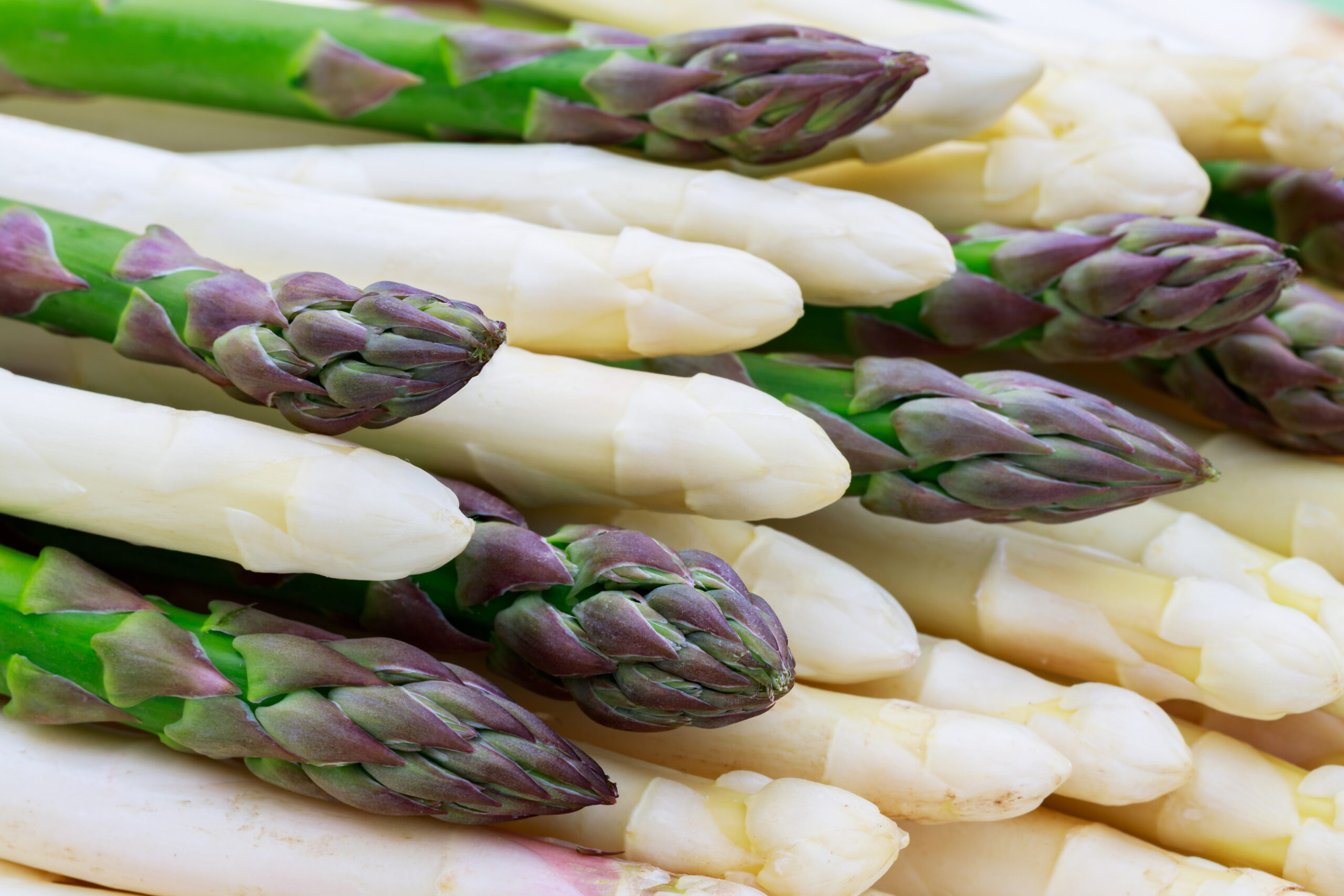 asperges